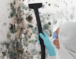 Best Mold Remediation for Healthcare Facilities  in Sky Valley, CA